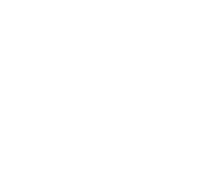WEBSITE WEB事業
